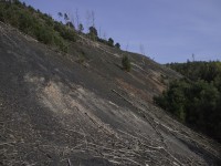 ecoal 9