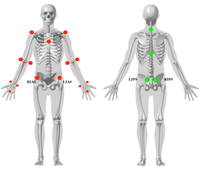 humeral