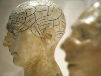 Portuguese researchers discover substructures in the brain that affect the mobility of humans (TVI24)