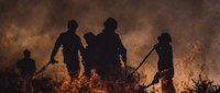 Portuguese technology monitors vital signs in firefighters (Notícias ao Minuto)