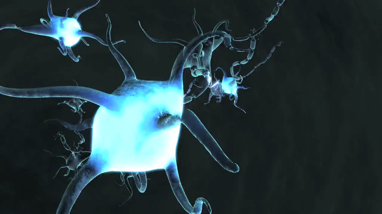 NeuronDyn 