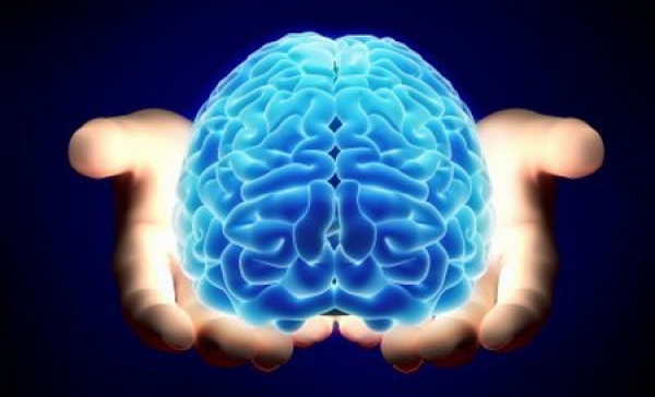 Descoberta de subestruturas cerebrais pode ajudar nos procedimentos neurocirúrgicos (DN Madeira)