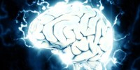 Portugueses descobrem subestruturas cerebrais que podem desmistificar doença de Parkinson (Sapo Online)