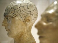  Portugueses descobriram subestruturas cerebrais que afetam mobilidade do ser humano (TVI24)