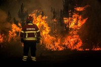 Sistema de monitorização português quer aumentar a segurança dos bombeiros (Público)