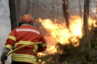 "Duplo dever" dos bombeiros aumenta reacendimentos (Público)