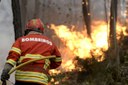 "Duplo dever" dos bombeiros aumenta reacendimentos (Público)