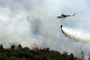 Incêndios florestais. Mais meios não garantem melhor combate (Expresso)