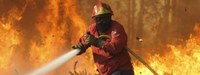 Incêndios Podia fazer-se mais e melhor "com menos recursos" (Notícias ao Minuto)