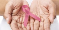 Instituto Português cria software para diagnóstico dos cancros da mama e próstata  (Ver Portugal)