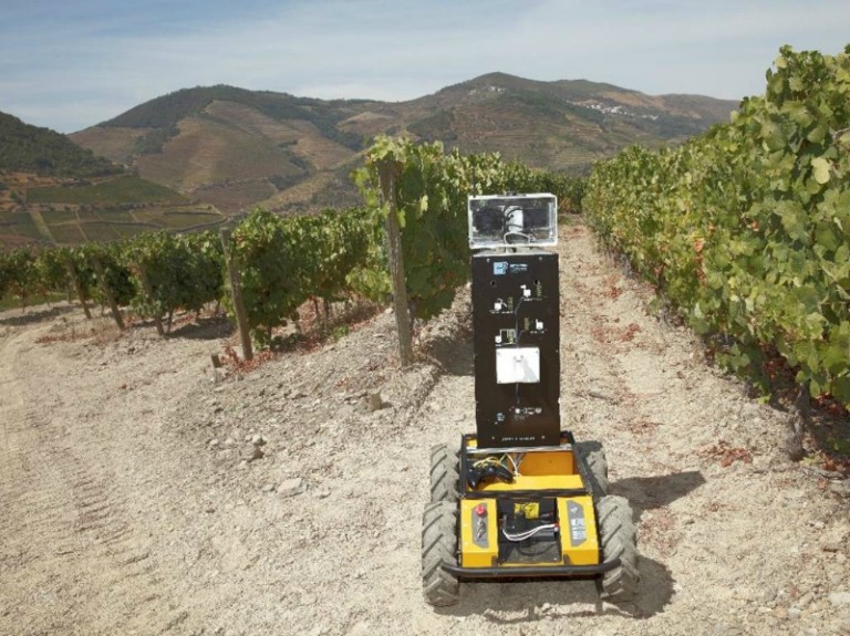 Investigadores do INESC TEC criam robots para combater pragas em terrenos agrícolas (Vida Rural)