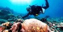 Investigadores do Porto exploram o mar profundo (Agricultura e Mar)