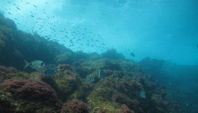Investigadores do Porto exploram recursos do mar profundo para aplicar na indústria (Sapo 24)