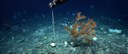 Investigadores portugueses criam forma de vigiar oceanos (Tech ao Minuto)