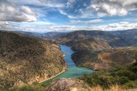 PortalDouro (news article)