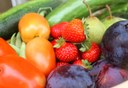 Projeto Nutriciência pretende corrigir hábitos alimentares