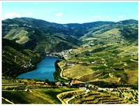 Portal Douro (notícia)