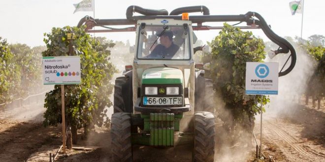 Agroglobal recebeu 35 mil visitantes em três dias de inovação e negócios (Agricultura e Mar Actual)